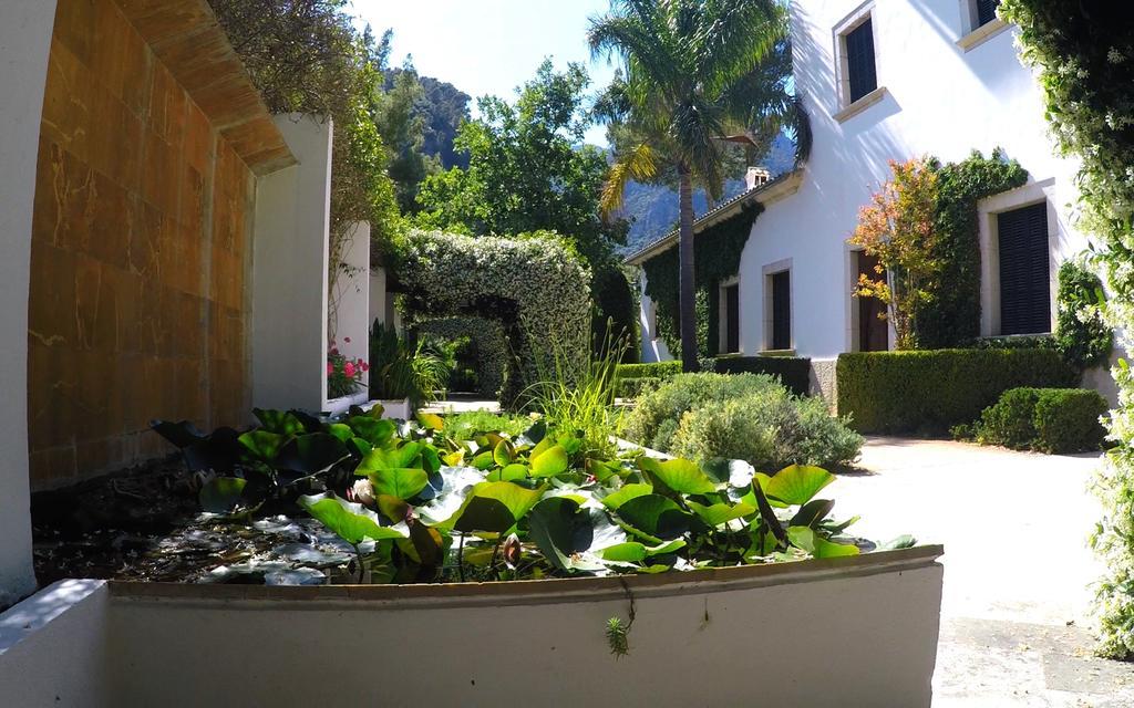 Appartement Alfabia Nou