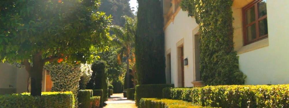 Alfabia Nou Appartement Bunyola