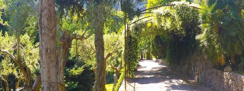 Alfabia Nou Appartement