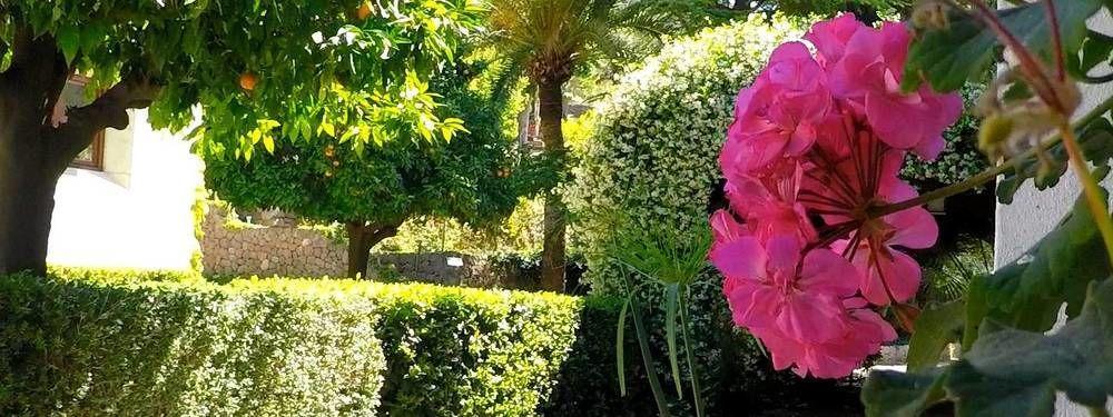 Alfabia Nou Appartement Bunyola