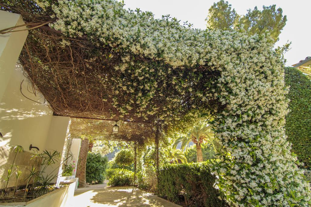 Appartement Alfabia Nou *